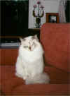 milla.jpg (41012 byte)